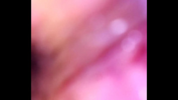 Nikaragualı Amatörler Tropik Bölgelerde Hardcore Seks Festivalini Serbest Bıraktı